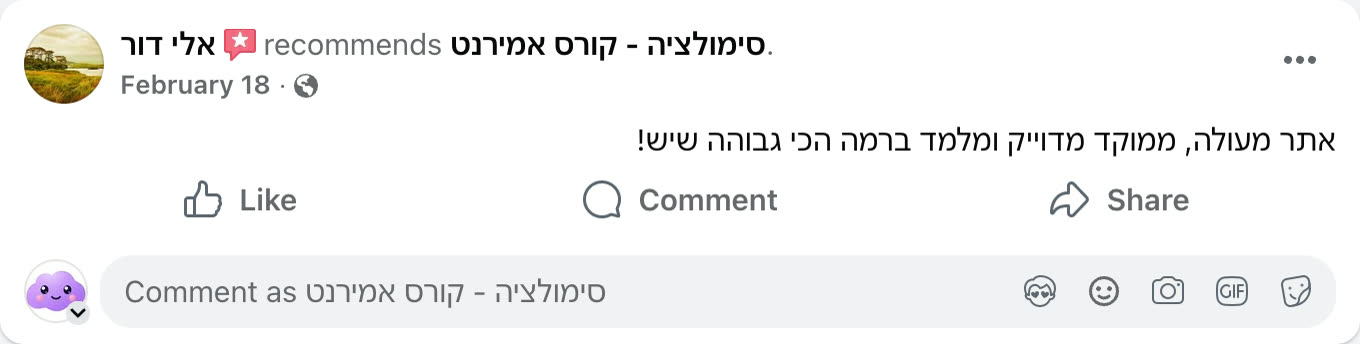 צילום מסך ביקורת פייסבוק