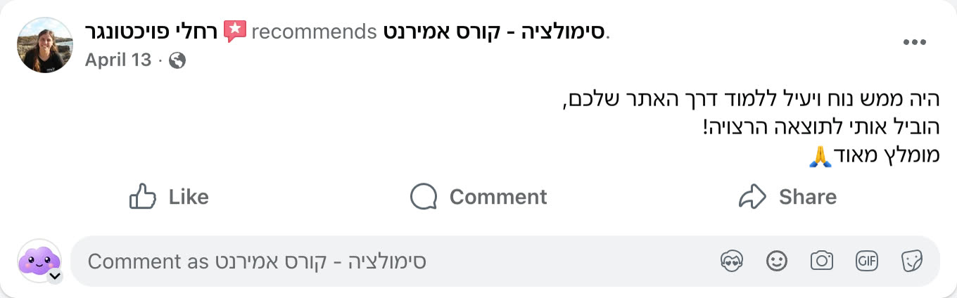צילום מסך ביקורת פייסבוק